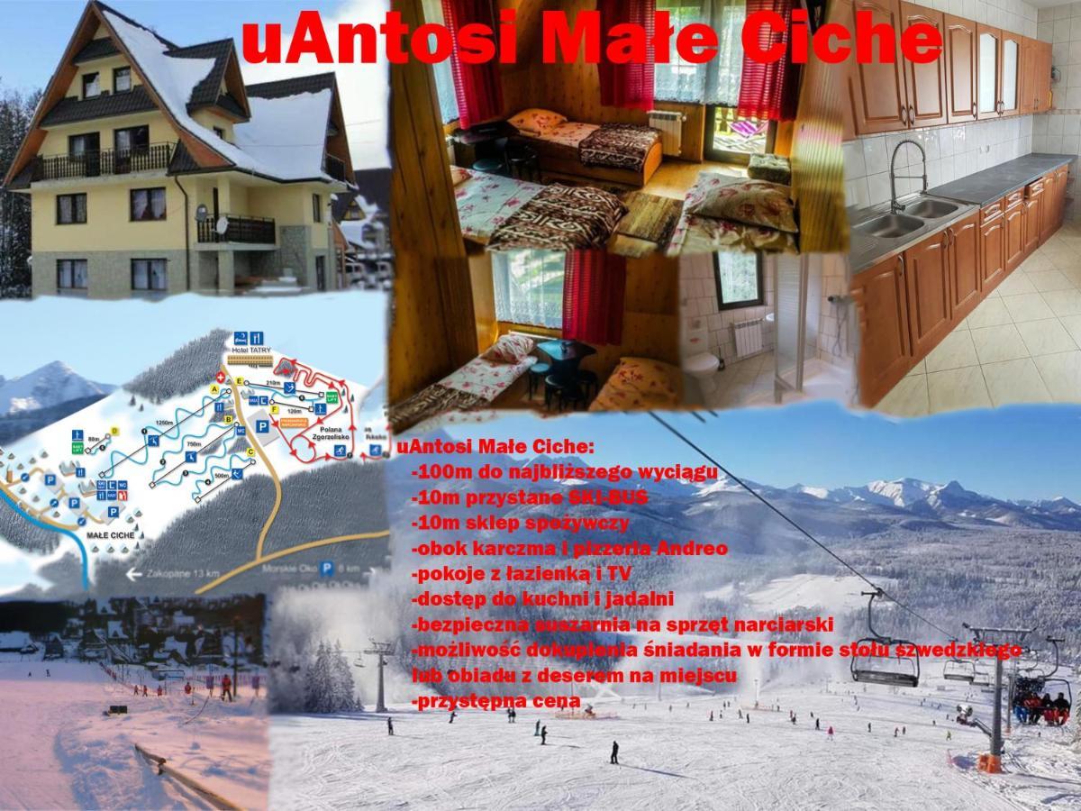 Male Ciche Uantosi, Blisko Wyciag Narciarski, Idealne Miesce Na Wypad W Gory -Rusinowa Polana-Zgorzelisko-Tarasowka-Wiktorowki-Palenica-Gesia Szyja-Morskie Oko Мужасихле Екстер'єр фото